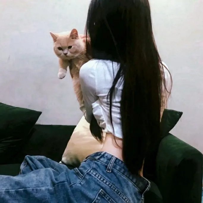 安提戈涅